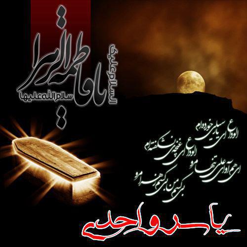 یاسر واحدی یا فاطمه